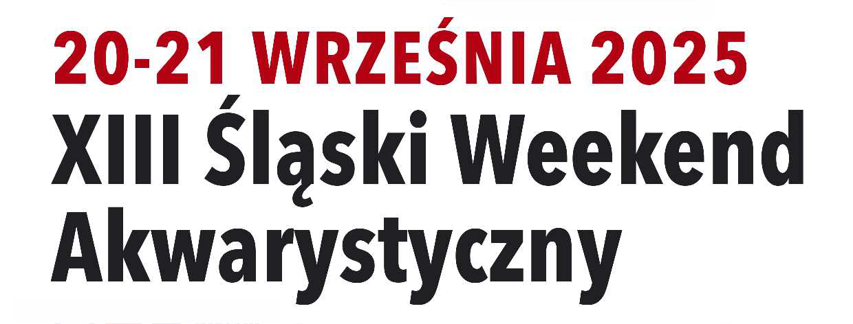 baner z nazwą wydarzenia i datami